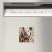 キュートベビーピグレットファーム動物納屋周囲の庭ベビー マグネット (インサイチュ (食洗機))