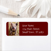 キュートベビーピグレットファーム動物納屋周囲の庭ベビー ラベル (インサイチュ)