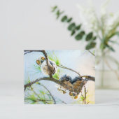 キュートベビーフール空白のすべての行事 シーズンポストカード (スタンド正面)