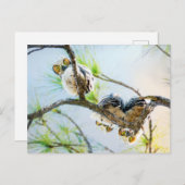 キュートベビーフール空白のすべての行事 シーズンポストカード (正面/裏面)