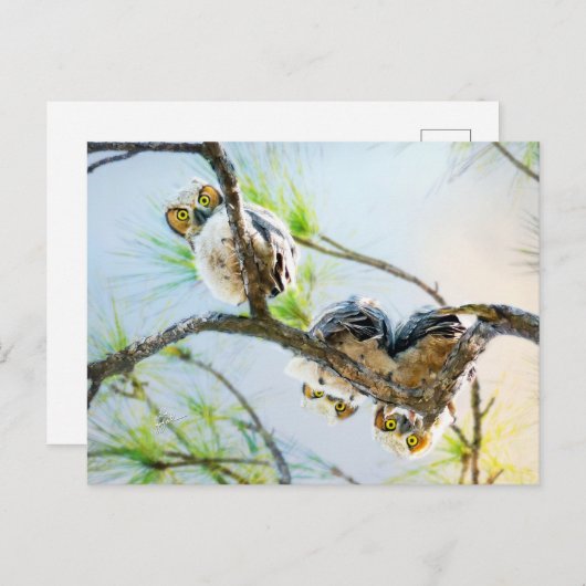 キュートベビーフール空白のすべての行事 シーズンポストカード (正面/裏面)