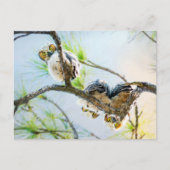 キュートベビーフール空白のすべての行事 シーズンポストカード (正面)