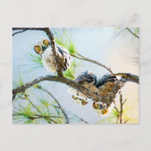 キュートベビーフール空白のすべての行事 シーズンポストカード (正面)