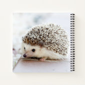 キュートベビーヘッジホッグ ノートブック (裏面)