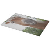 キュートベルギー荷車を引く馬顔動物 カッティングボード (角)