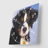 キュートベルネーズマウンテンドッグパピー写真 スクエア壁時計 (傾斜)