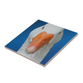 キュートホワイトグース自然 タイル (側面)