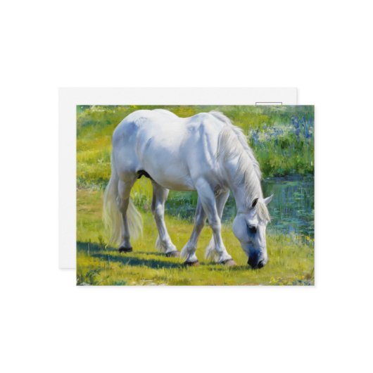 キュートホワイトホースクロードモネスタイル ポストカード (正面/裏面インサイチュ)
