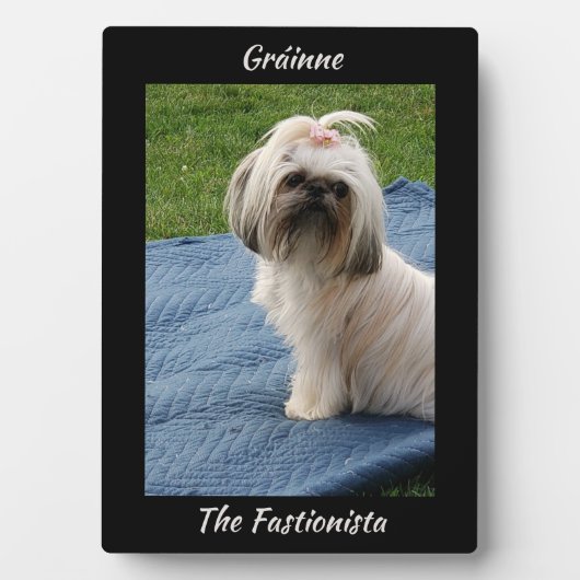 キュートホワイトヨークシャーテリアー フォトプラーク (正面)