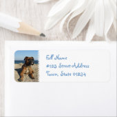 キュートボクサー差出人住所ラベル ラベル (インサイチュ)