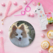 キュートポメラニア犬スピッツドッグポートレート写真 ペーパープレート (パーティー)