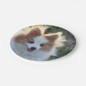 キュートポメラニア犬スピッツドッグポートレート写真 ペーパープレート (アングル)