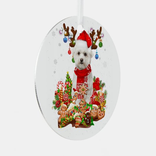 キュートマルチーズトナディアクリスマス照明サンタクマ メタルオーナメント (正面右)