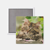 キュートメーンクーンキットン マグネット (正面/裏面)