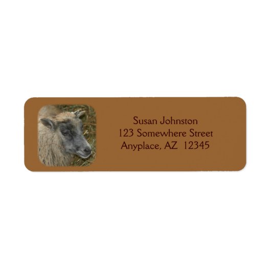 キュートヤギ農場動物住所 シール (正面)