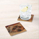 キュートヨークシャーテリアパピードッグ スクエアペーパーコースター (インサイチュ)