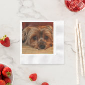 キュートヨークシャーテリアパピードッグ 縁ありカクテルナプキン (インサイチュ)