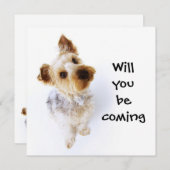 キュートヨークシャーテリアパピーヨークシャーテリアパーティー 招待状 (正面/裏面)