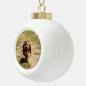 キュートヨークシャーテリアパピー走ズ セラミックボールオーナメント (右)