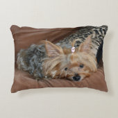 キュートヨークシャーテリアパピー アクセントクッション (正面)
