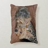 キュートヨークシャーテリアパピー アクセントクッション (正面(垂直))