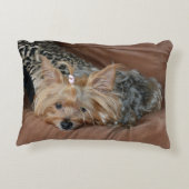 キュートヨークシャーテリアパピー アクセントクッション (裏面)