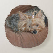 キュートヨークシャーテリアパピー ラウンドクッション (正面)