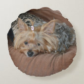 キュートヨークシャーテリアパピー ラウンドクッション (裏面)