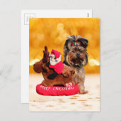 キュートヨークシャーテリアメリークリスマス シーズンポストカード (正面/裏面)