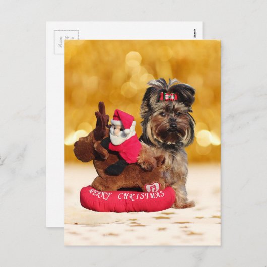 キュートヨークシャーテリアメリークリスマス シーズンポストカード (正面/裏面)