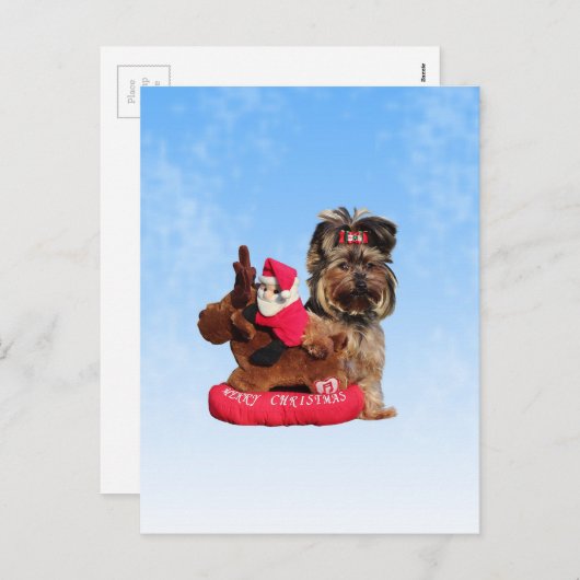 キュートヨークシャーテリアメリークリスマス シーズンポストカード (正面/裏面)