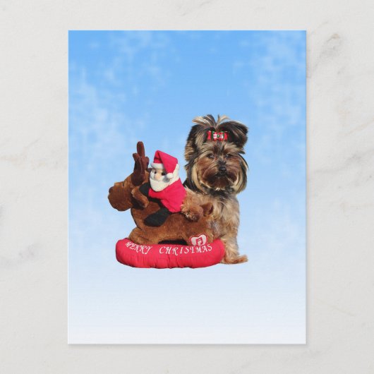 キュートヨークシャーテリアメリークリスマス シーズンポストカード (正面)