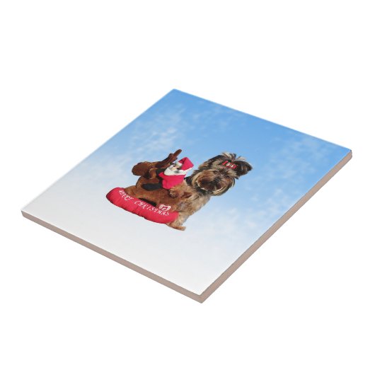 キュートヨークシャーテリアメリークリスマス タイル (側面)