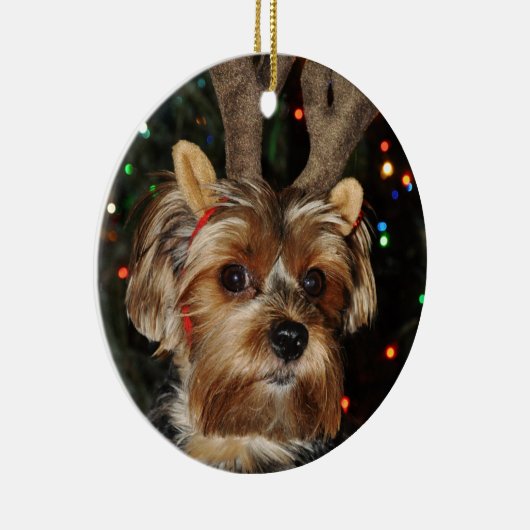 キュートヨークシャーテリアーヨークシャーテリアウィズトインディアアントラー セラミックオーナメント (右)