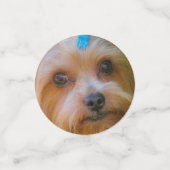 キュートヨークシャーテリアーヨークシャーテリアブお気に入りのリード コンフェッティ (スモール正面)