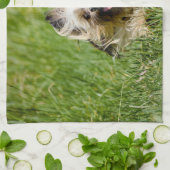 キュートヨークシャーランニングテリアズスルーグラス キッチンタオル (折り畳み)