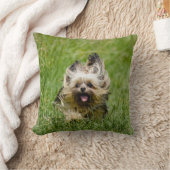 キュートヨークシャーランニングテリアズスルーグラス クッション (ブランケット)