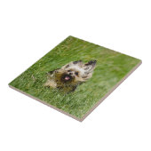 キュートヨークシャーランニングテリアズスルーグラス タイル (側面)