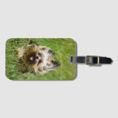 キュートヨークシャーランニングテリアズスルーグラス ラゲッジタグ (正面横)