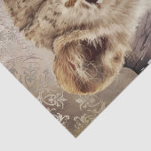 キュートライオンカブティッシュペーパー 薄葉紙 (詳細)