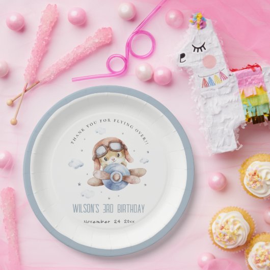 キュートラストネイビーキッズ飛行機スターズスカイテディ誕生日 ペーパープレート (パーティー)