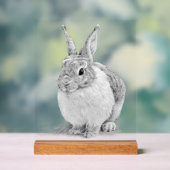 キュートラビットペンシルスケッチ アクリルサイン (ニュートラル)