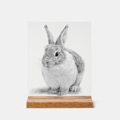 キュートラビットペンシルスケッチ アクリルサイン (正面)