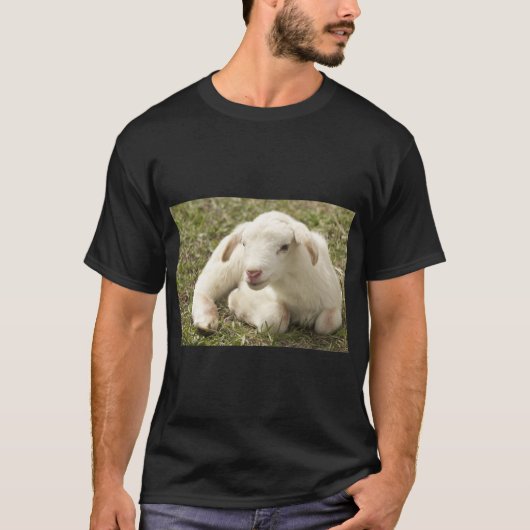 キュートラムファームヒツジ Tシャツ (正面)