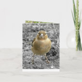 キュートリトルバーディハッピーバースデーカスタマイズ カード (裏面)