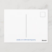 キュートリトルヨークシャーテリアテリア ポストカード (裏面)