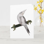 キュートルティノコクタイエルバードアイビーパーチアニマル カード (黄色い花)