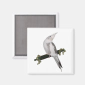 キュートルティノコクタイエルバードアイビーパーチアニマル マグネット (正面/裏面)