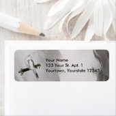 キュートルティーノコッカティエルバードアイビーパーチアニマル ラベル (インサイチュ)