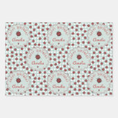 キュートレッドラディバグパーソナライズされた子供の誕生日 ラッピングペーパーシート (正面)